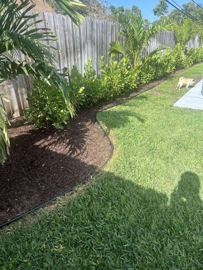 Mow And Trim Overgrown Edges Mow And Trim Overgrown Edges