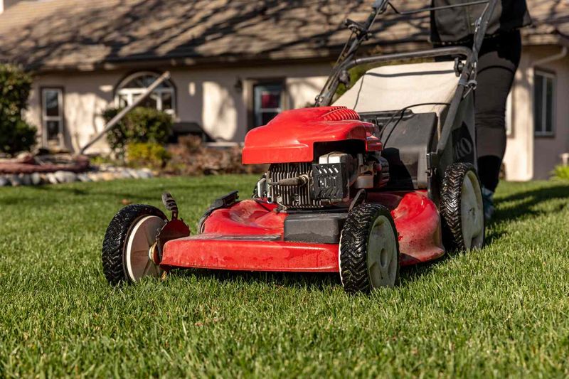 Mow Higher To Help Grass Hold Moisture