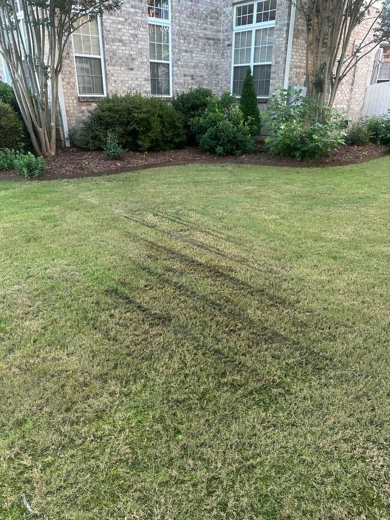 Mow When The Lawn Is Dry