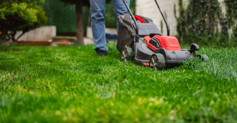 Mow Your Maryland Lawn At This Time Of Day For Better Heat Tolerance
