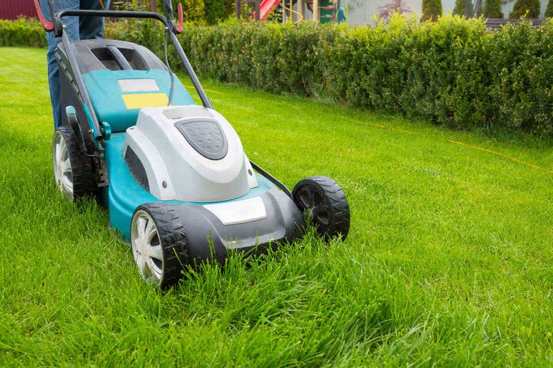Mowing Too Low Adds Extra Stress