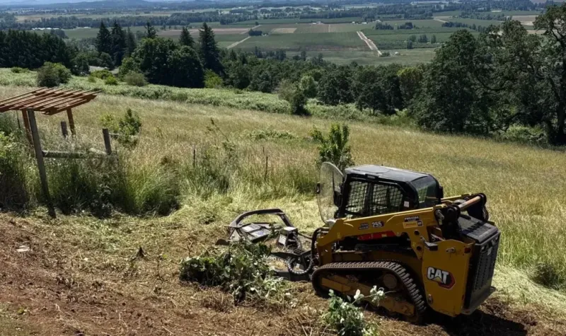 Mowing Works Only With Persistence