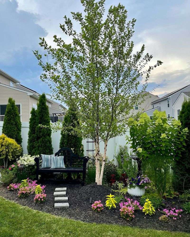 Mulch Around The Base Without Covering The Trunk
