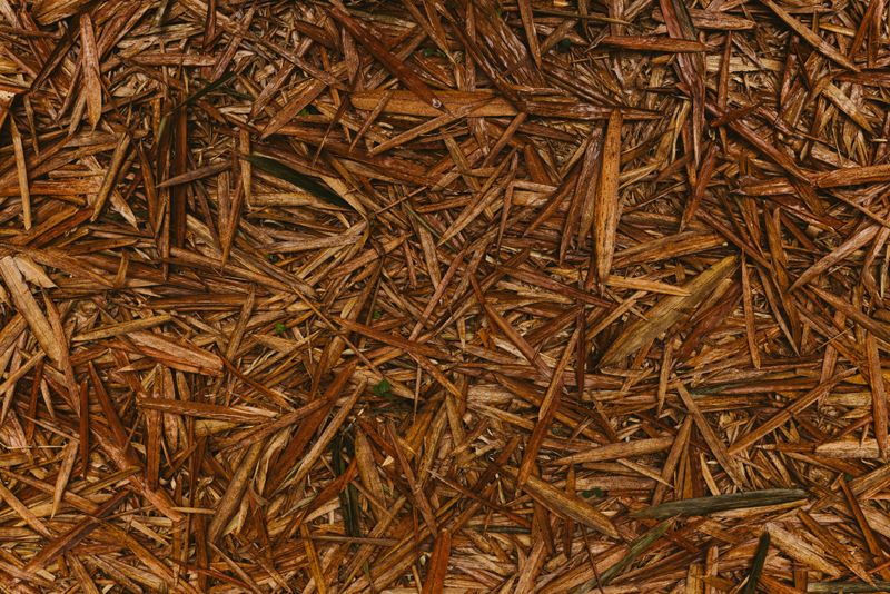 Mulch Beds To Lock In Moisture Mulch Beds To Lock In Moisture