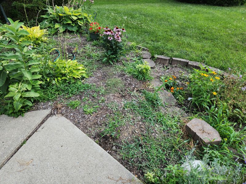 Mulch Broke Down Too Thin Mulch Broke Down Too Thin