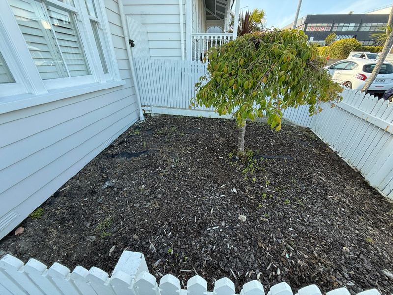 Mulch Can Become A Hidden Fuel Bed Mulch Can Become A Hidden Fuel Bed