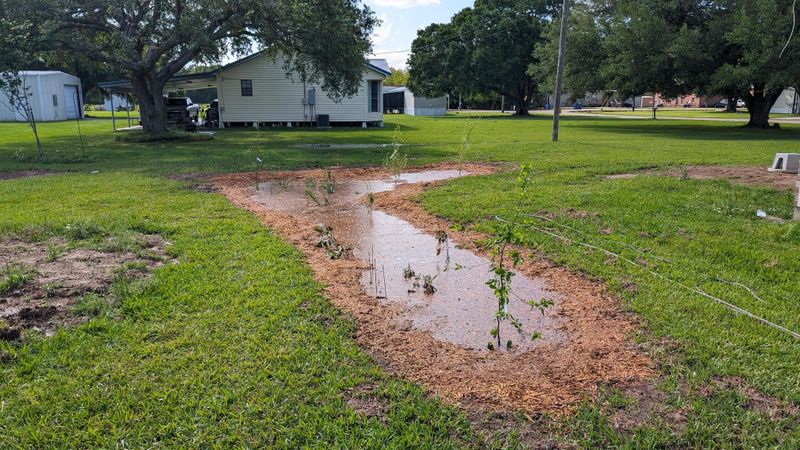 Mulch Can Float Away
