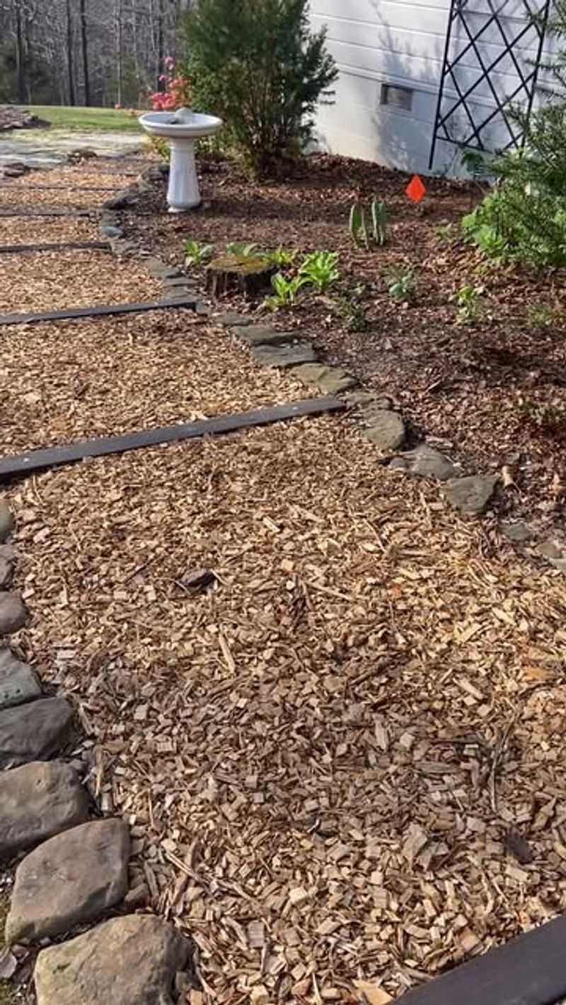 Mulch Can Move In Heavy Rain