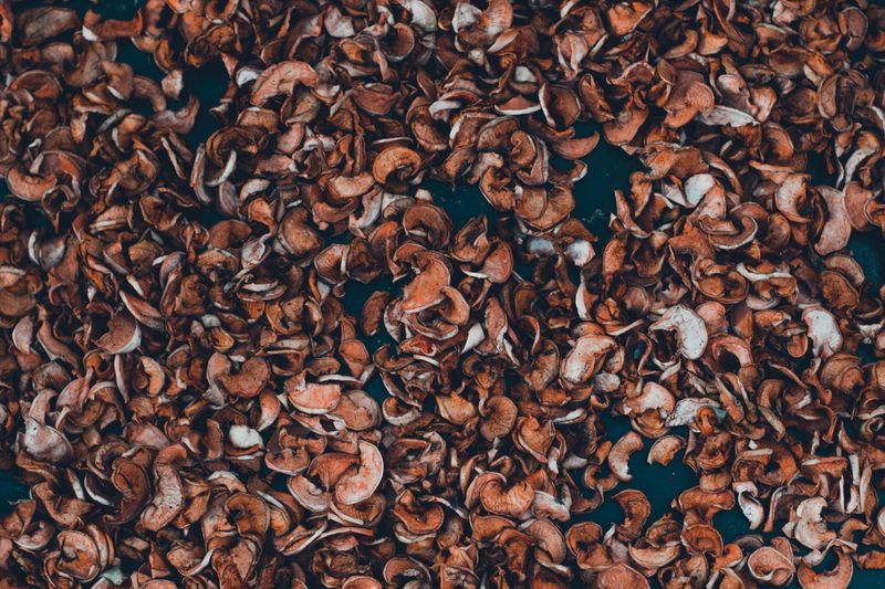 Mulch Choices Near The House Can Fuel Or Slow A Fire Mulch Choices Near The House Can Fuel Or Slow A Fire