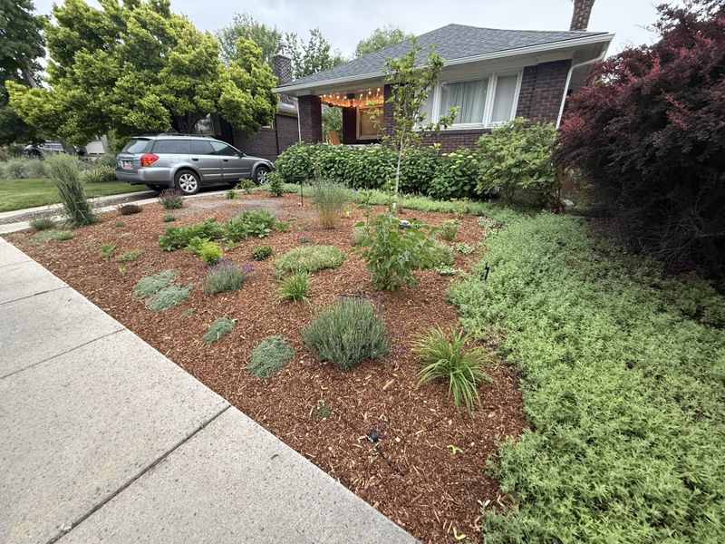 Mulch Gaps While Roots Settle