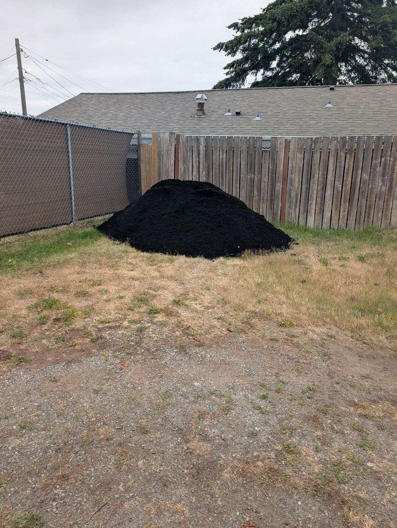Mulch Helps The Groundcover Fill In Neatly