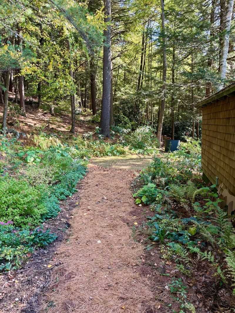 Mulch Is Better For Soft Garden Paths