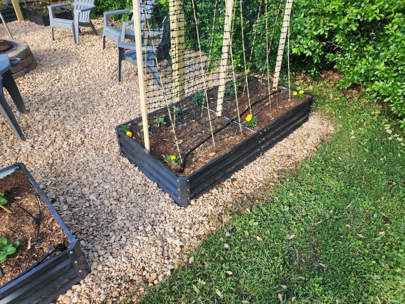 Mulch Makes Both Systems Work Better