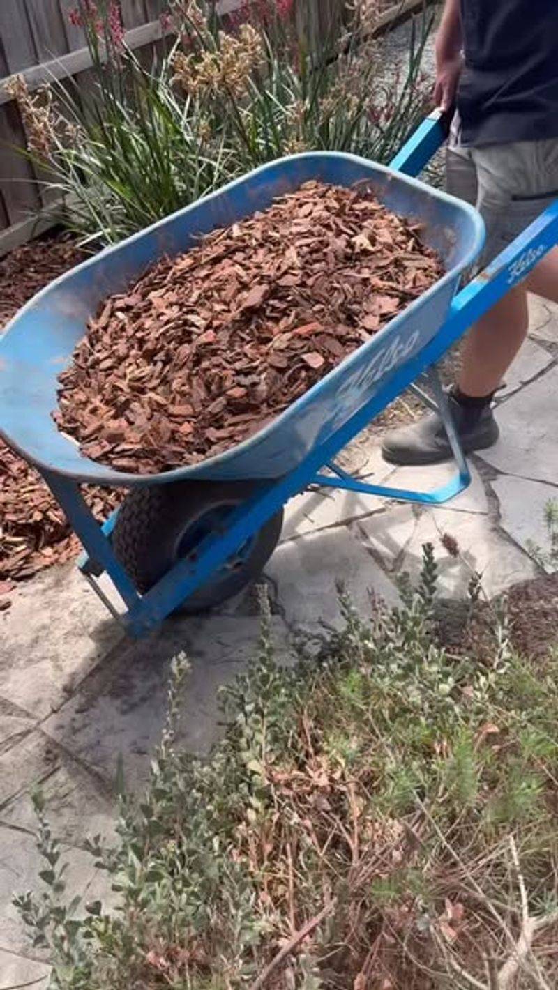 Mulch Needs Refreshing More Often