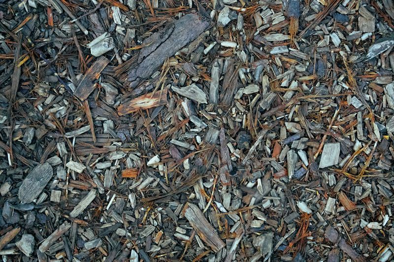 Mulch On Top To Hold Moisture