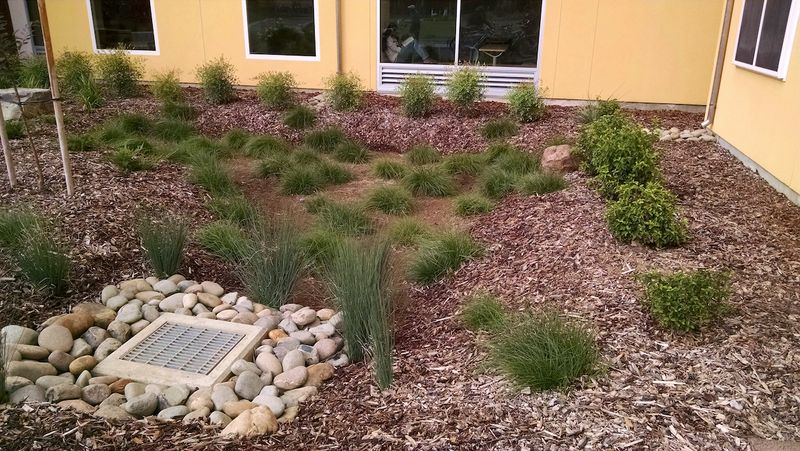 Mulch Should Stay Out Of Flow Mulch Should Stay Out Of Flow