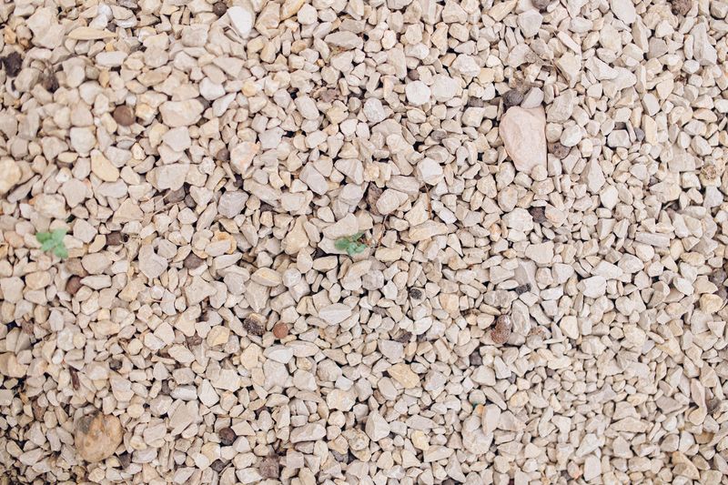 Mulching With Light, Well-Draining Material