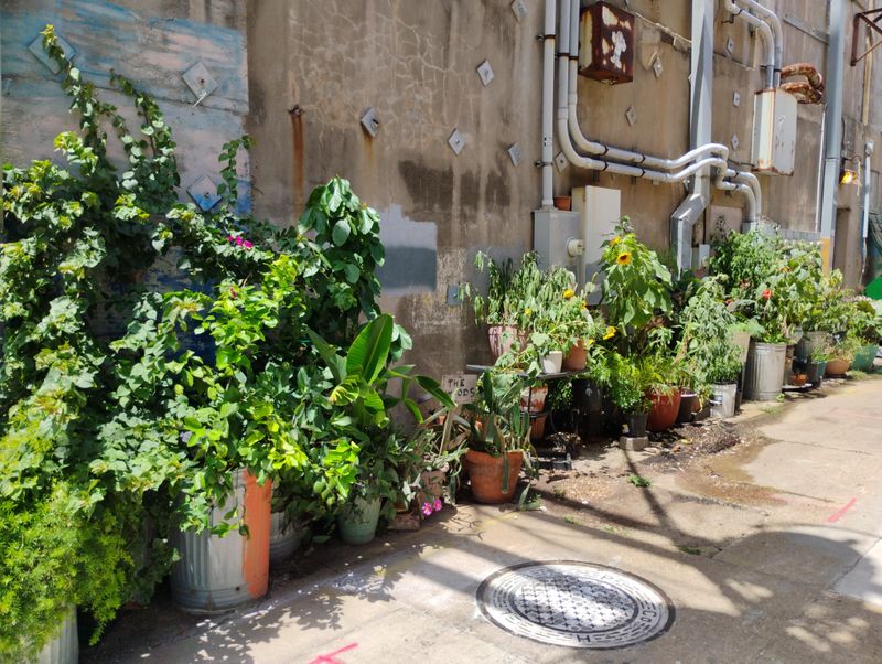 Narrow Beds Need Tough Access