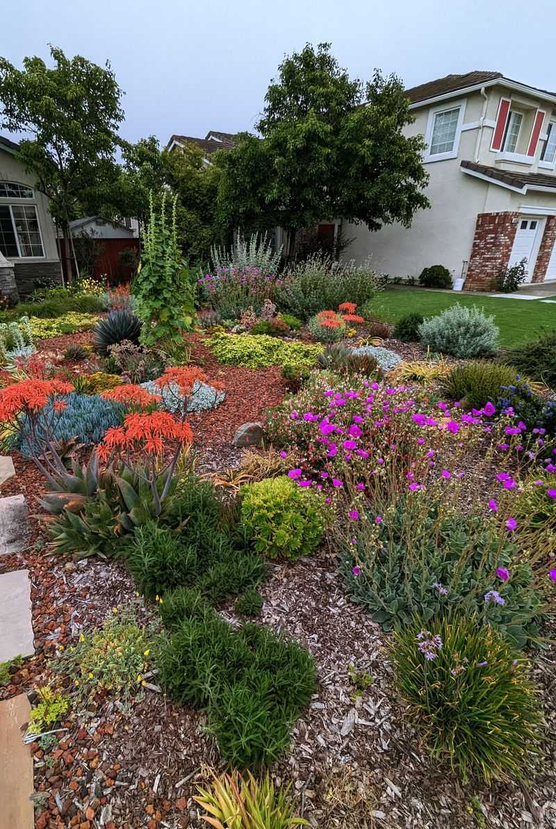 Native Plantings Need To Look Maintained Native Plantings Need To Look Maintained