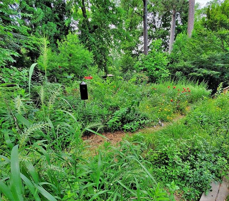 Native Plants Help Build A Better Food Web Native Plants Help Build A Better Food Web