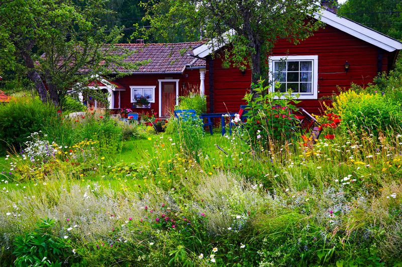 Native Plants Make Yards More Useful For Wildlife Native Plants Make Yards More Useful For Wildlife