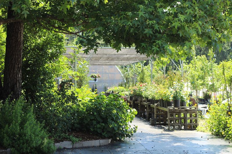 Nature's Way Resources Nursery - Conroe