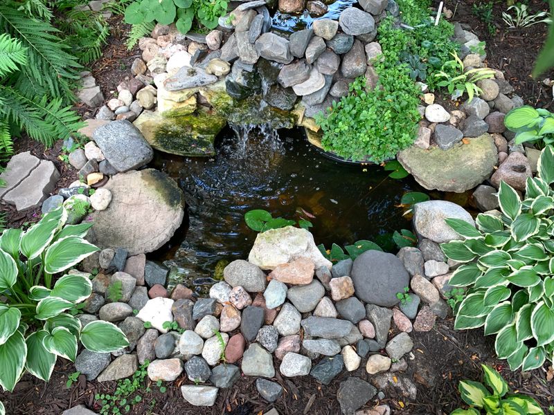 Nearby Water Or Shade May Be Pulling Them Away Nearby Water Or Shade May Be Pulling Them Away