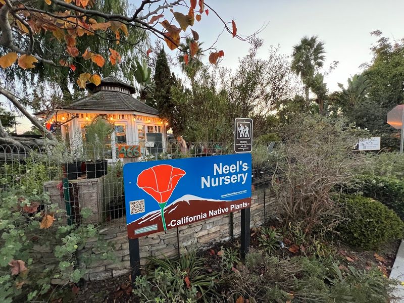 Neel’s Nursery Makes Encinitas Worth The Coastal Drive Neel’s Nursery Makes Encinitas Worth The Coastal Drive
