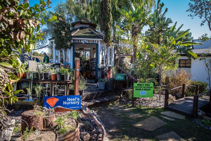 Neel's Nursery — Encinitas