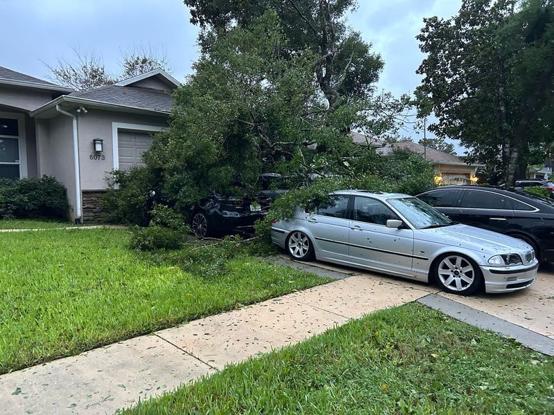Neglect Can Shift The Bill To The Neighbor