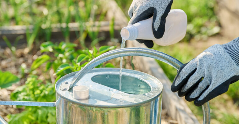 Never Add Liquid Fertilizer To Your Pennsylvania Soil When Temperatures Spike