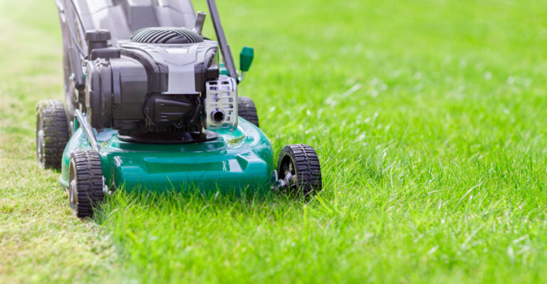 lawn (featured image)
