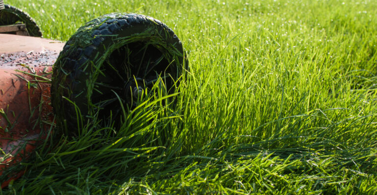 mowing lawn