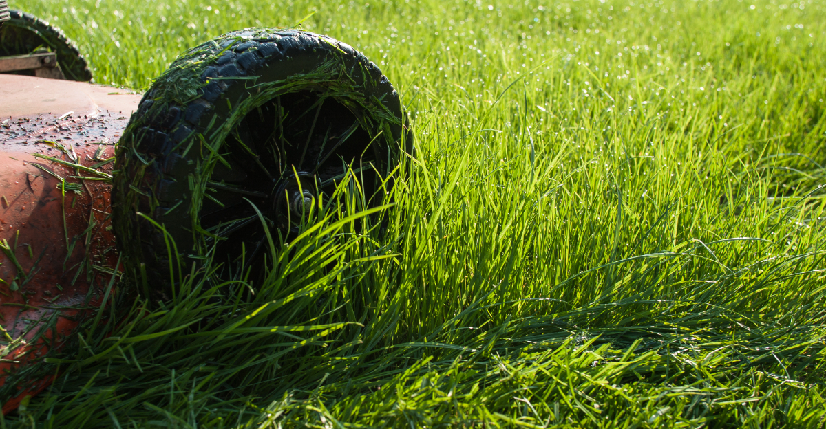 mowing lawn
