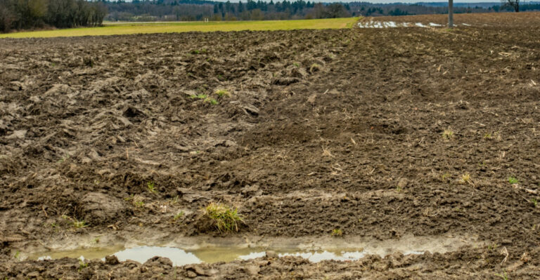 Never Walk On Your Bare Pennsylvania Soil Immediately After Heavy Thunderstorms