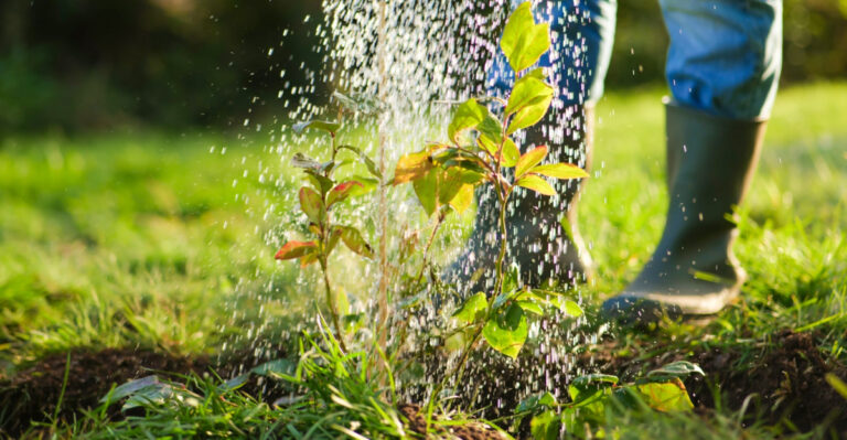 Never Water Your Pennsylvania Garden Soil Like This Before A Thunderstorm