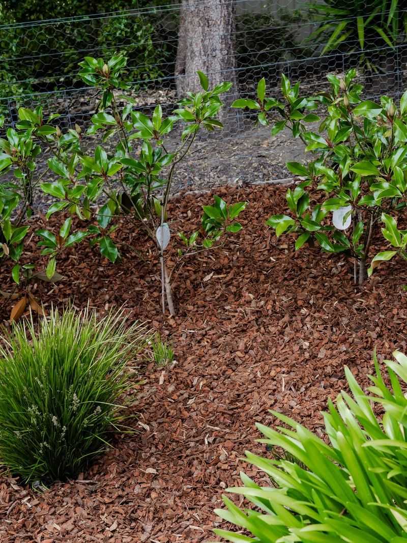 New Beds Can Be Amended More Thoroughly Than Established Borders New Beds Can Be Amended More Thoroughly Than Established Borders