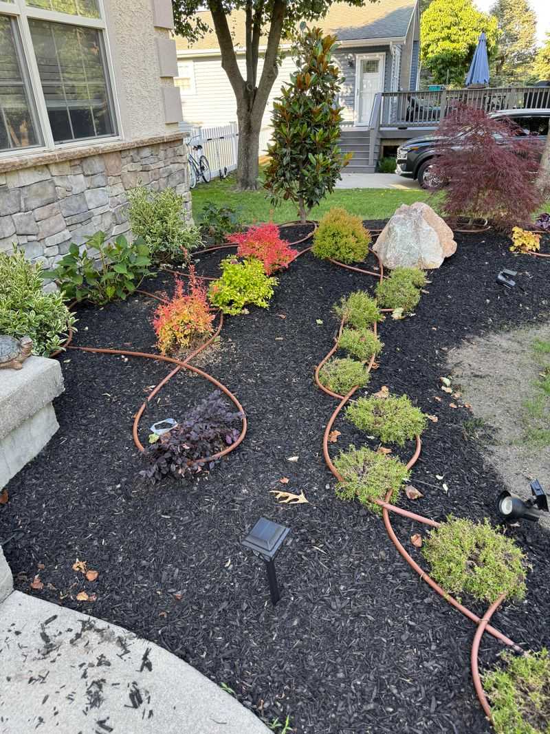 New Plantings Need A Backup Plan New Plantings Need A Backup Plan