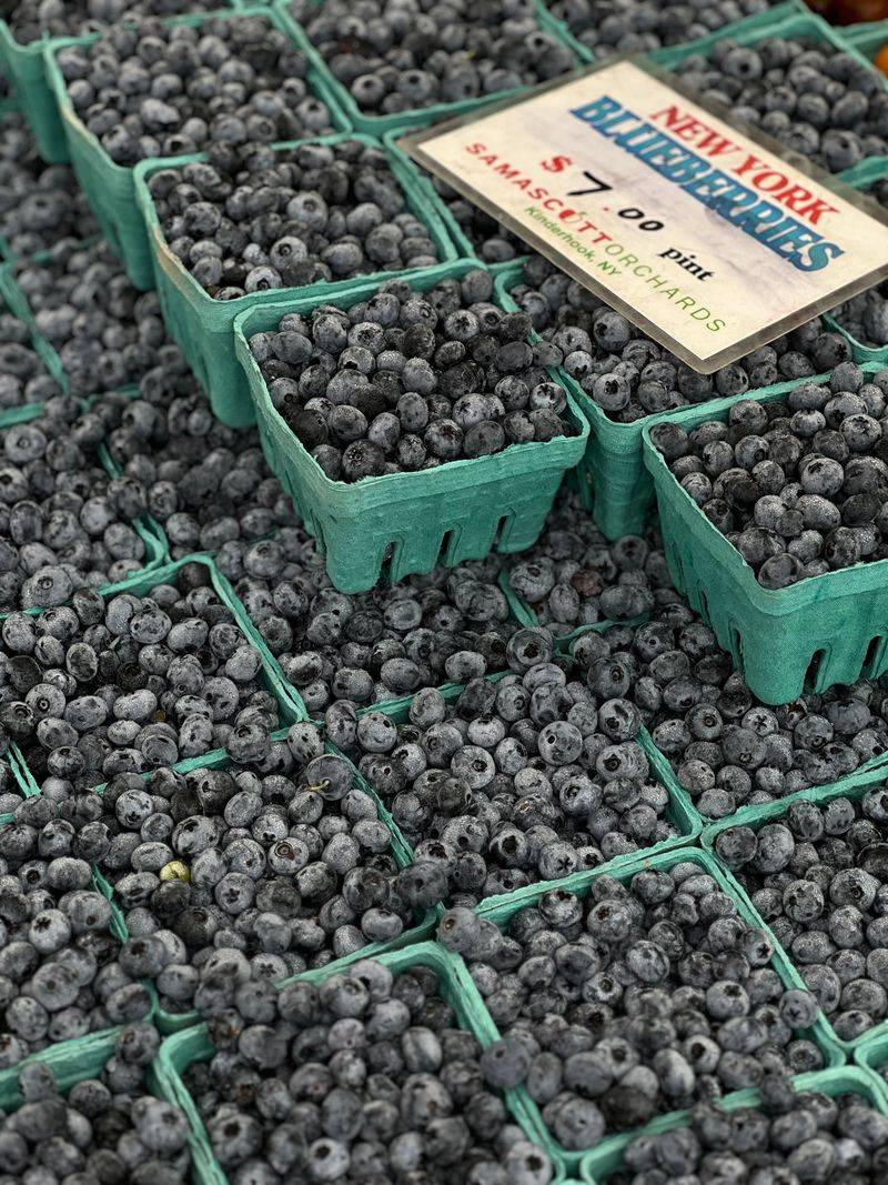 New Varieties Resist Disease Better New Varieties Resist Disease Better