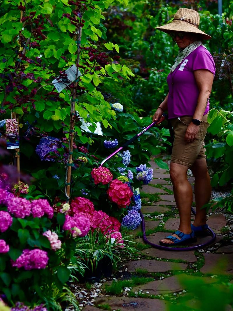 Night Watering Keeps Leaves Damp Too Long Night Watering Keeps Leaves Damp Too Long