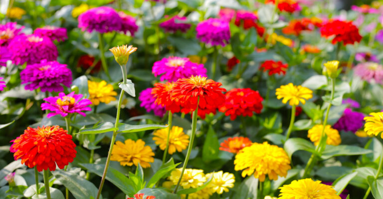Image Credit: © Bowonpat Sakaew / Shutterstock