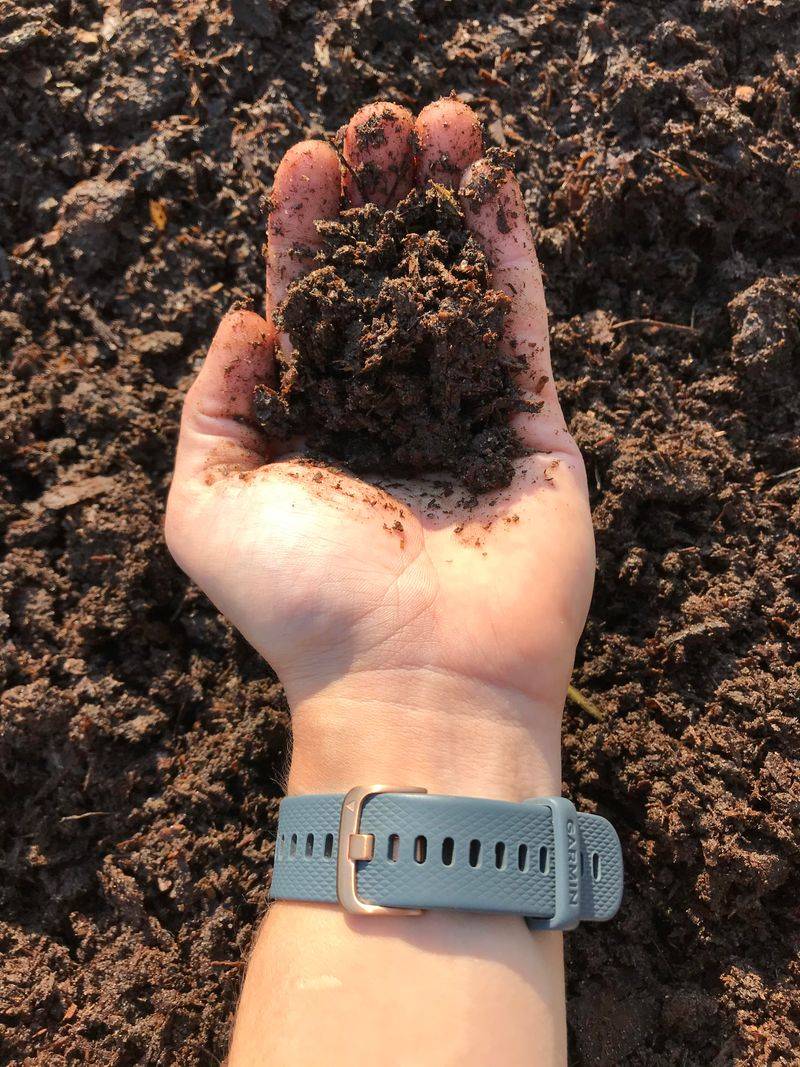 Nutrient Strength Is Difficult To Predict Nutrient Strength Is Difficult To Predict