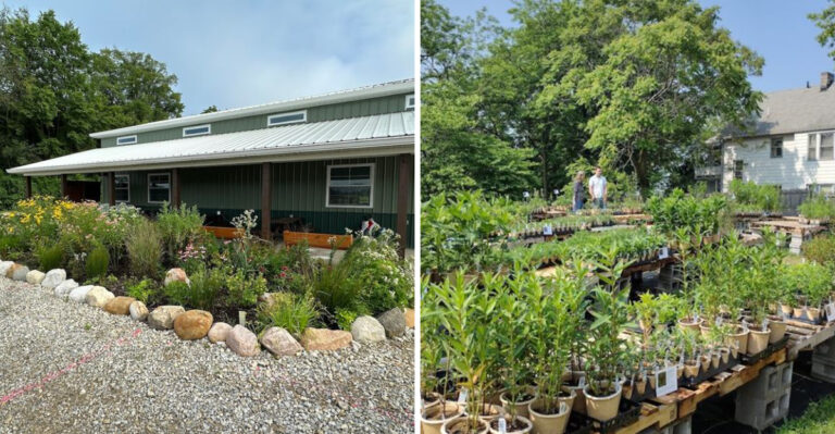 native nurseries
