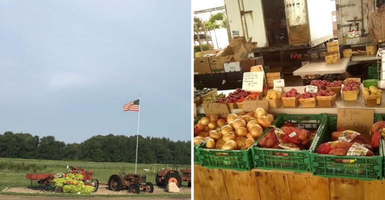 Ohio Tomato Season Is Here And These Pick-Your-Own Farms Are Worth The Drive