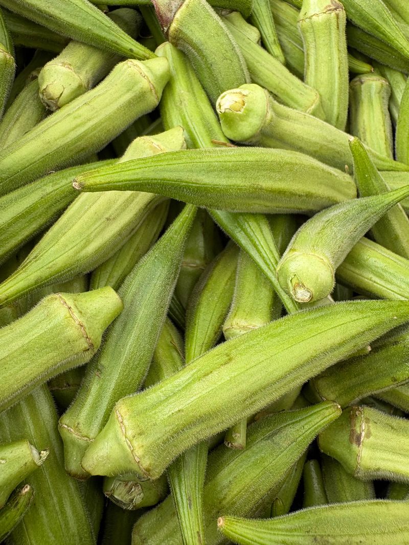 Okra