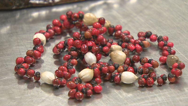 Old Jewelry And Craft Seeds Can Still Be Dangerous Old Jewelry And Craft Seeds Can Still Be Dangerous