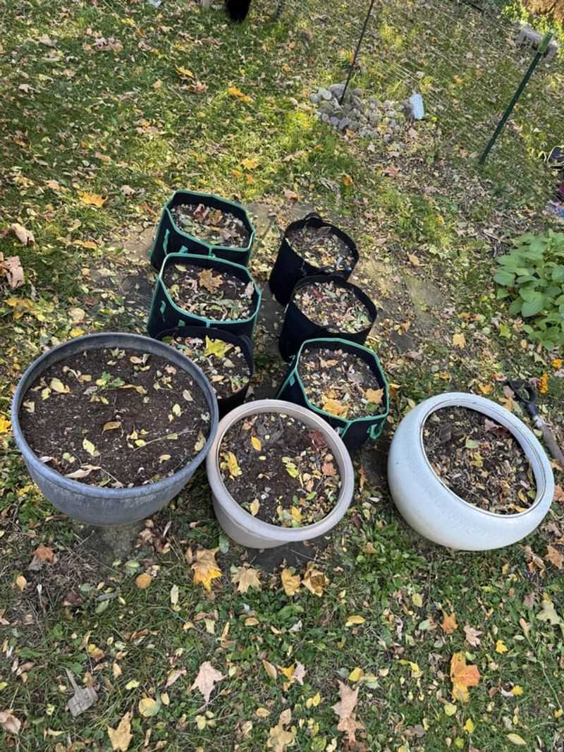 Old Mix May Be Spent Old Mix May Be Spent