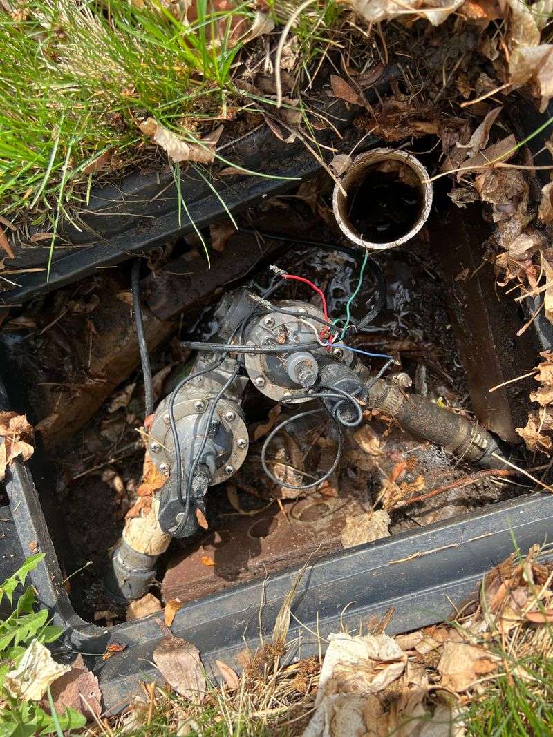 Old Sprinklers Miss The Root Zone Old Sprinklers Miss The Root Zone