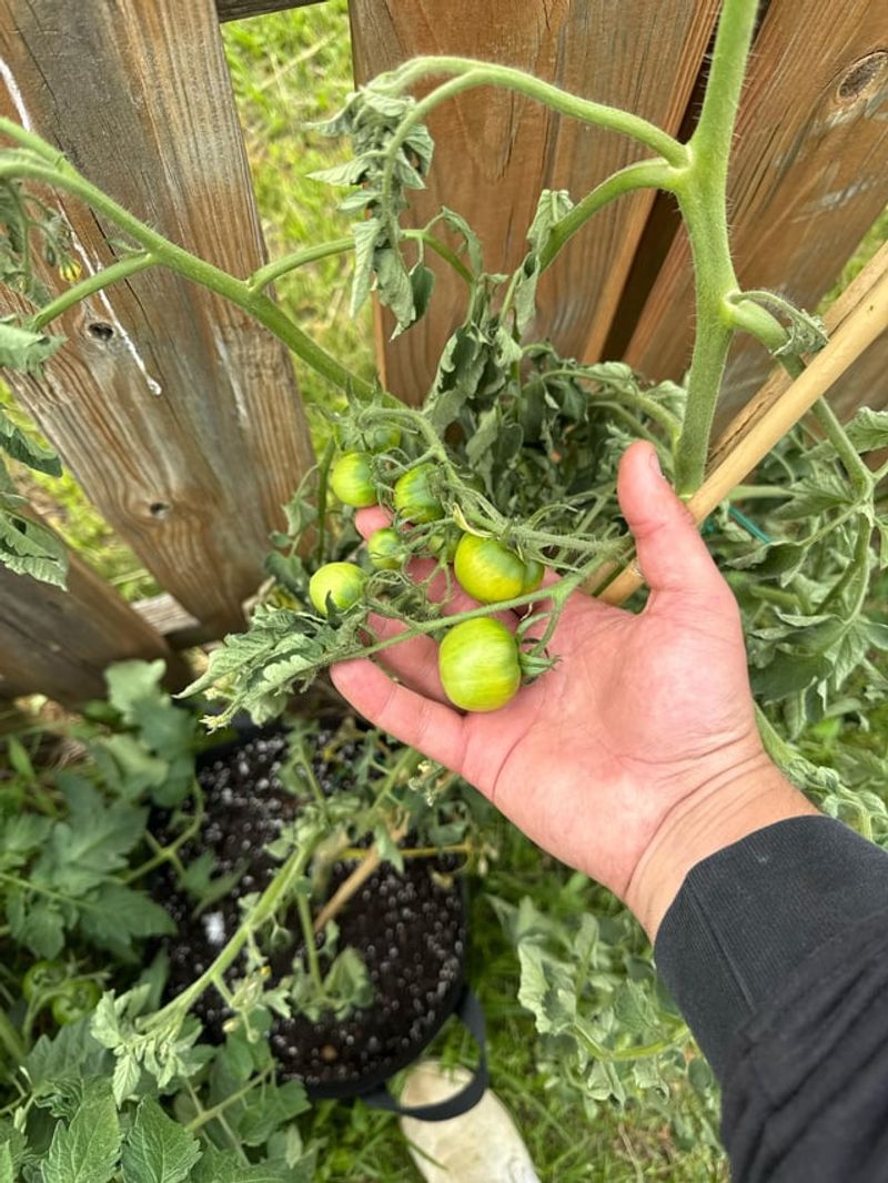 One Watering Schedule Does Not Fit Every Crop One Watering Schedule Does Not Fit Every Crop