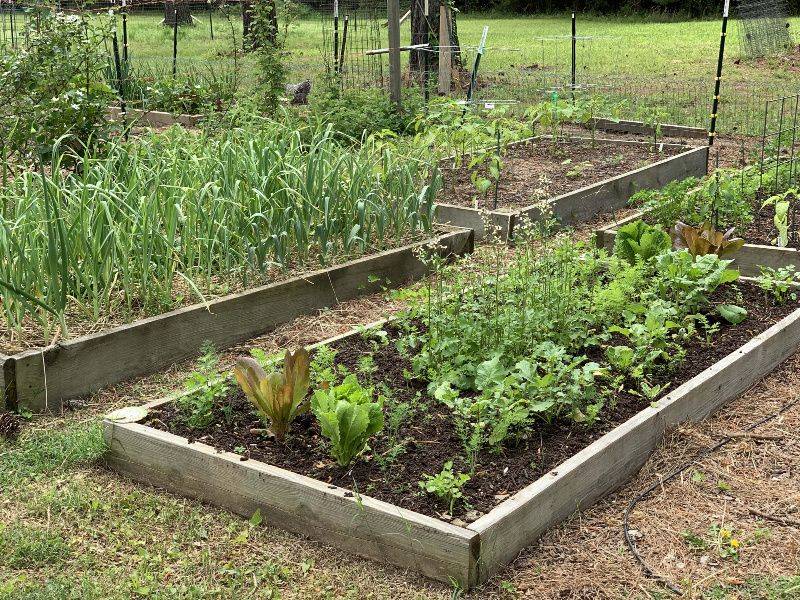 Open-Bottom Beds Connect With Existing Soil Open-Bottom Beds Connect With Existing Soil